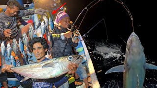 Download Lagu Ngeri! BERTEMU ROMBONGAN IKAN SAMBARAN BERTUBI - ANTAM TOURNAMENT FISHING 2025 MP3 Download Lagu Ngeri! BERTEMU ROMBONGAN IKAN SAMBARAN BERTUBI - ANTAM TOURNAMENT FISHING 2025 MP3