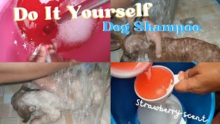 DIY DOG SHAMPOO by Tathess TV 31 views 7 months ago 19 minutes