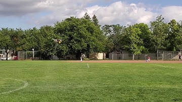 RoboBees: UAV (Drone) Based Pollinators