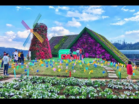 Video Đà Lạt ngày 24/12/2022 - youtube
