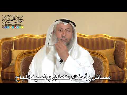 2498- مسائل وأحكام تتعلق بالصيد المباح - عثمان الخميس