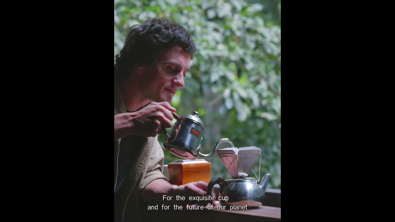 COLOMBIA RAINFOREST ALLIANCE ✨ MARYLINGCaffe 