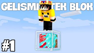 GELİŞMİŞ TEK BLOK!!! | Gelişmiş Tek Blok | Minecraft | #1