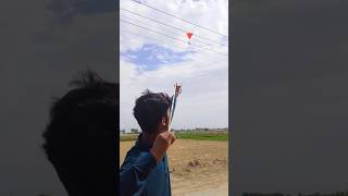 Hunting with slingshot for Bird 180⁰🎯 best shot 😱#shots