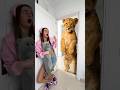 OMG Can player escape from the Lion ?