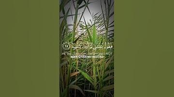 وأما من أوتي كتابه بشماله بصوت الشيخ ناصر القطامي #سورة_الحاقة #ناصر_القطامي #قرآن #viral #اكسبلور