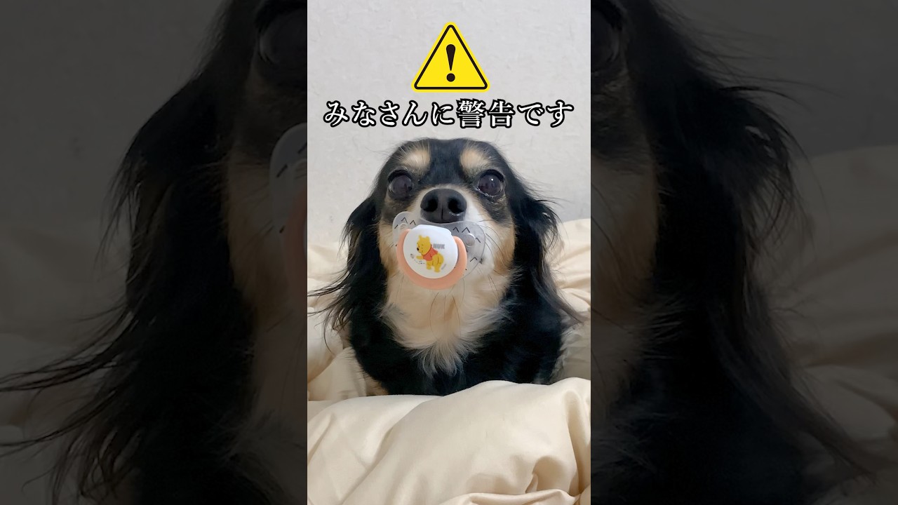 ※皆さんに警告です #shorts
