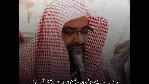 ناصر القطامي تلاوة عطرة خاشعة حالات واتس اب قرآن كريم