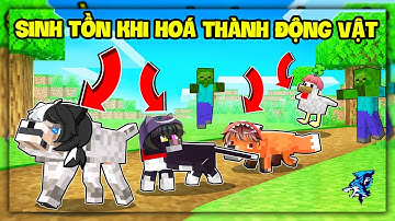 Minecraft Nhưng Bạn Là Động Vật | Siro Và Mike Đen Tranh Giành Noob Ruby