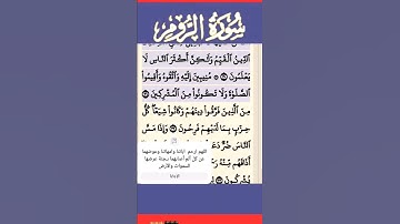 سورة الروم الآية 31 #قرآن #quran #islamicstatus