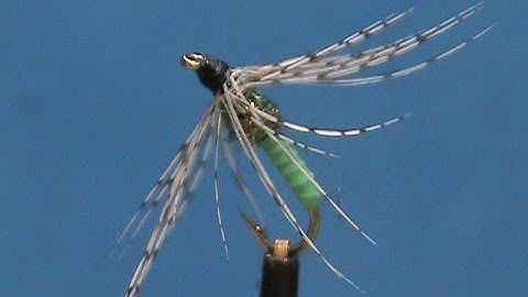 Beginner Fly Tying a Granny Apple GSS Soft Hackle with Jim Misiura