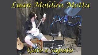 Vídeo de Gato E Sapato