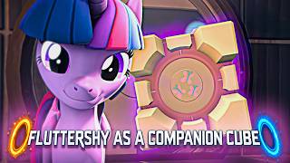 I used my Magic to turn Fluttershy into a Companion Cube!