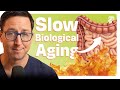 Chronic Inflammation Is Aging You. Here's How to Take Control