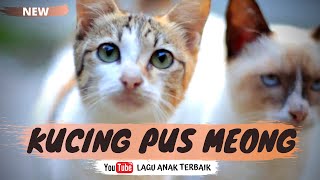 Kucing Pus Meong - Lagu Anak Terbaru