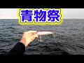 堤防からトップ投げたら青物祭りに