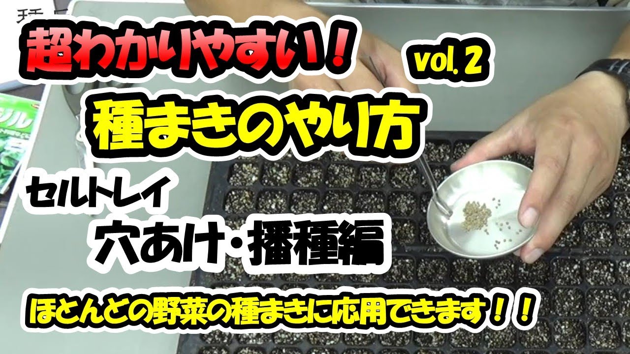 【育苗のプロが教える！】種まきのやり方vol.2「セルトレイ」～穴あけ・播種編～ほとんどの野菜の種まきに応用できます！