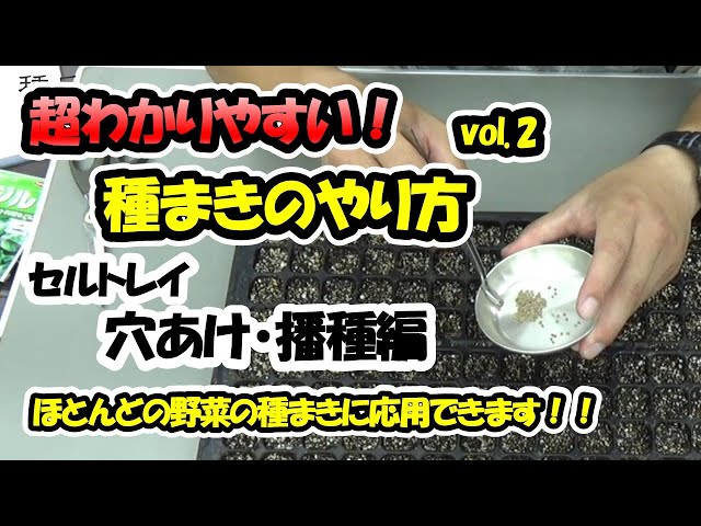 Learn from a seedling professional!] How to sow seeds Vol. 2 