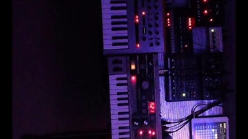 Isolation Loops (4th live 2)