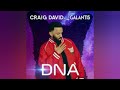 Craig David X Galantis DNA mp3