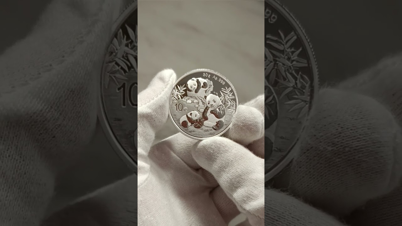 China 10 Yuan Panda Silver Coin  