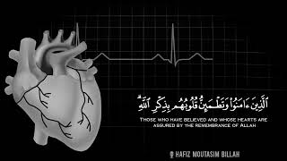 Most Emotional & Soft Quran Recitation || Heart Touching Voice || WhatsApp Status || Tilawat e Quran screenshot 4