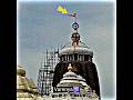 Puri jagannath temple proof of flag flowing against wind direction  jay jagannath  shorts viral