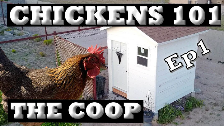 Backyard Chickens 101 Part1 - The Chicken Coop! |L...