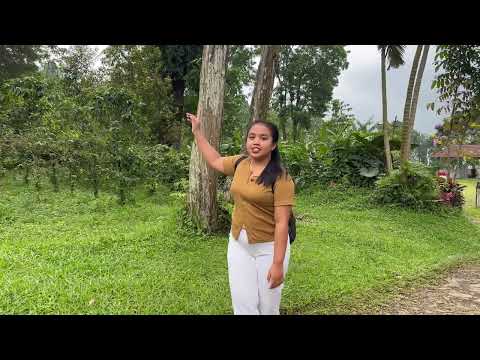 Berenang Dan Relaksasi Di Sungai Jernih Air Nya Sangat Dingin 