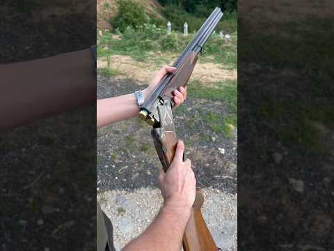 12 Superposé Chasse Chasseur Tir Funshoot Stand Cal12