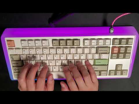 EO87 + holypanda + equalz stabilizer 타건영상