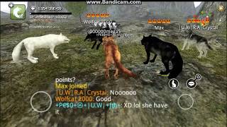 wolf online meet friends