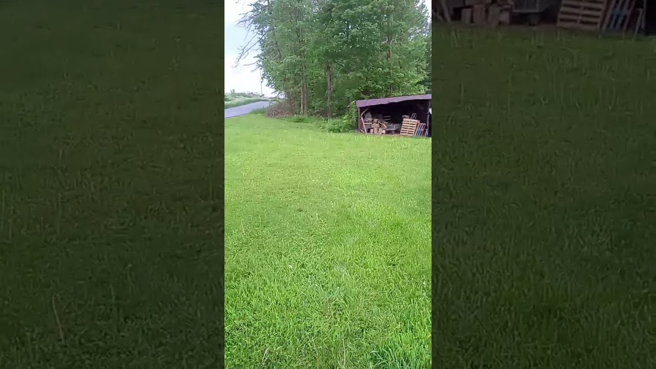 CORRUPT NATURE Funny Memes Forsaken