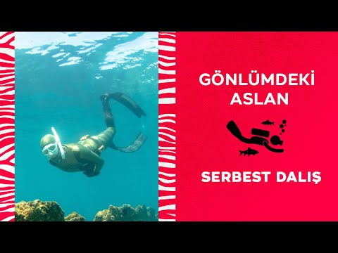Video 10