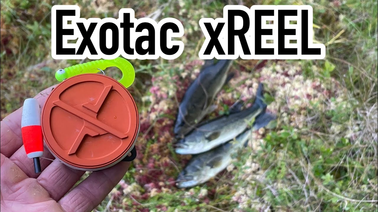 10 wt saltwater fly reel Fairplay Fishing Outfit Chartreuse built for saltwater anglers Kodiak Custom Tackle Bottom Box Size:2 x Gold Standard Pack