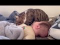 赤ちゃんの上でひたすら“ふみふみ”する猫
