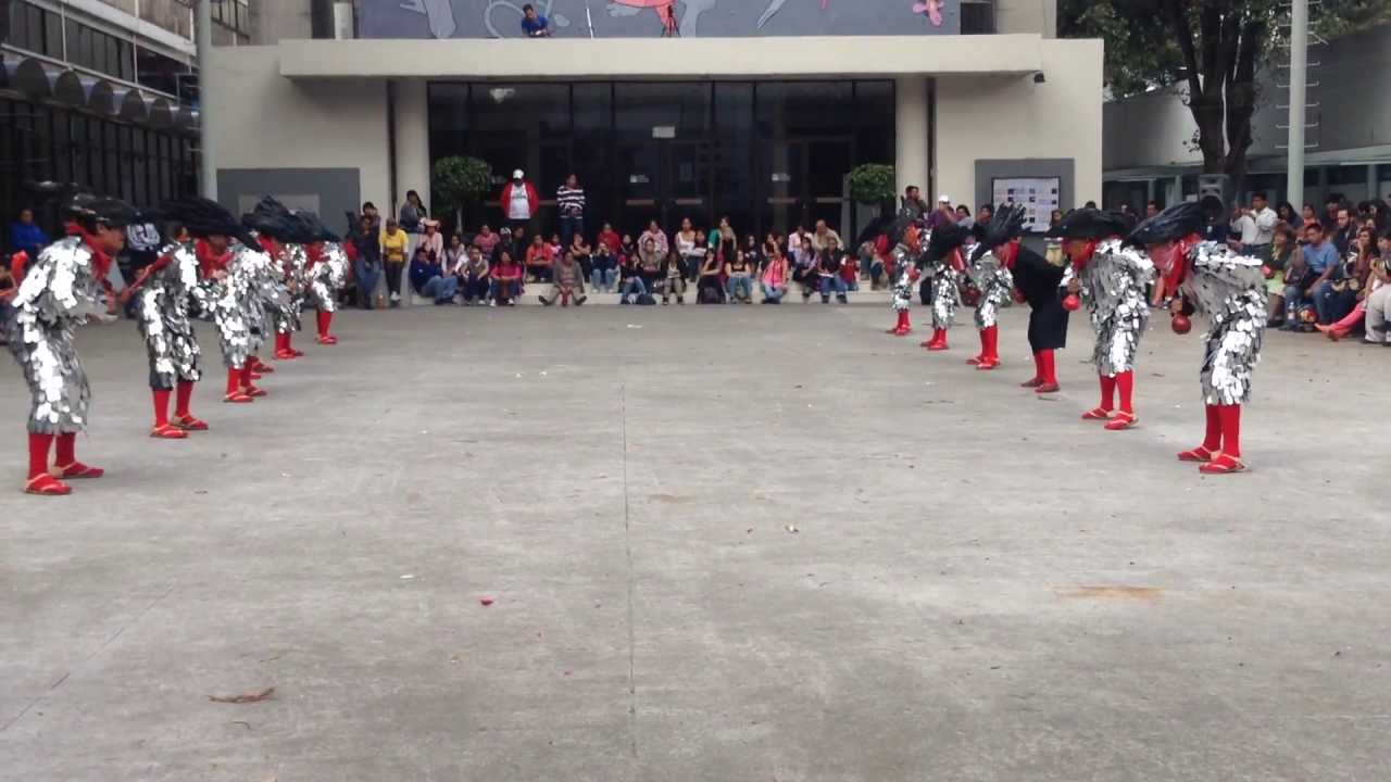 Danza de Pardos - Estado de Zacatecas (EBAE)