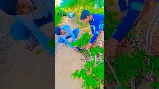 farming reels❤️🌍 #song #farming #khetibadi #dailyshorts #virulshorts