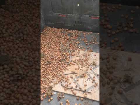 Butternut Farms Martin Hodgson