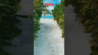 Hidden Paradise: Maamigili Island Beach, Maldives #Maldives #Maamigili #BeachVibes #TropicalParadise