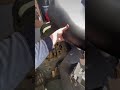 BRS Battery Put To The Test
