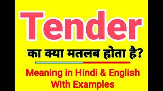 Meaning of Tender | What does Tender mean | Daily use English words