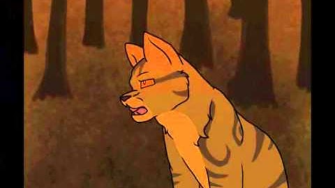Brambleclaw/Hawkfrost: A Confrontation [MAP Part]