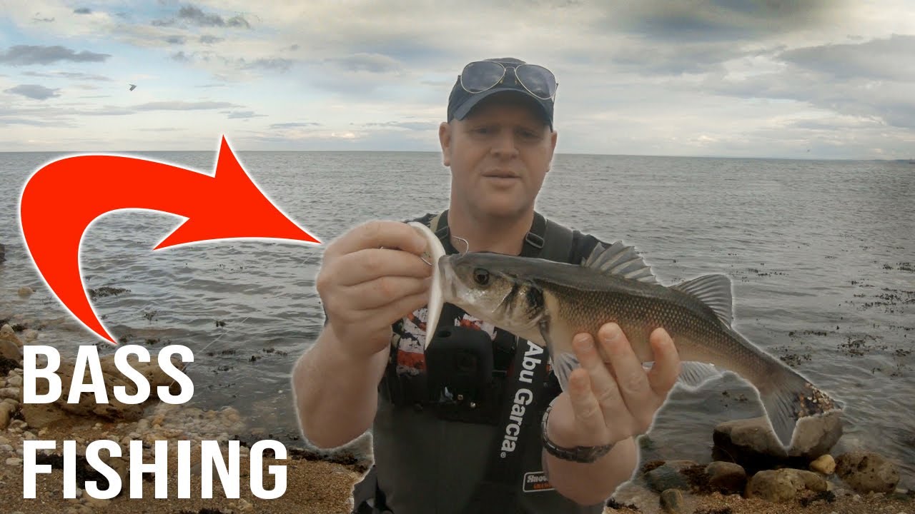 Shore fishing for Bass with lures and bait Bass Manager The Best