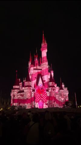 ミニーのファンダーランド🤍#ディズニーランド #ミニーのファンダーランド