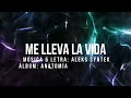 Me Lleva La Vida