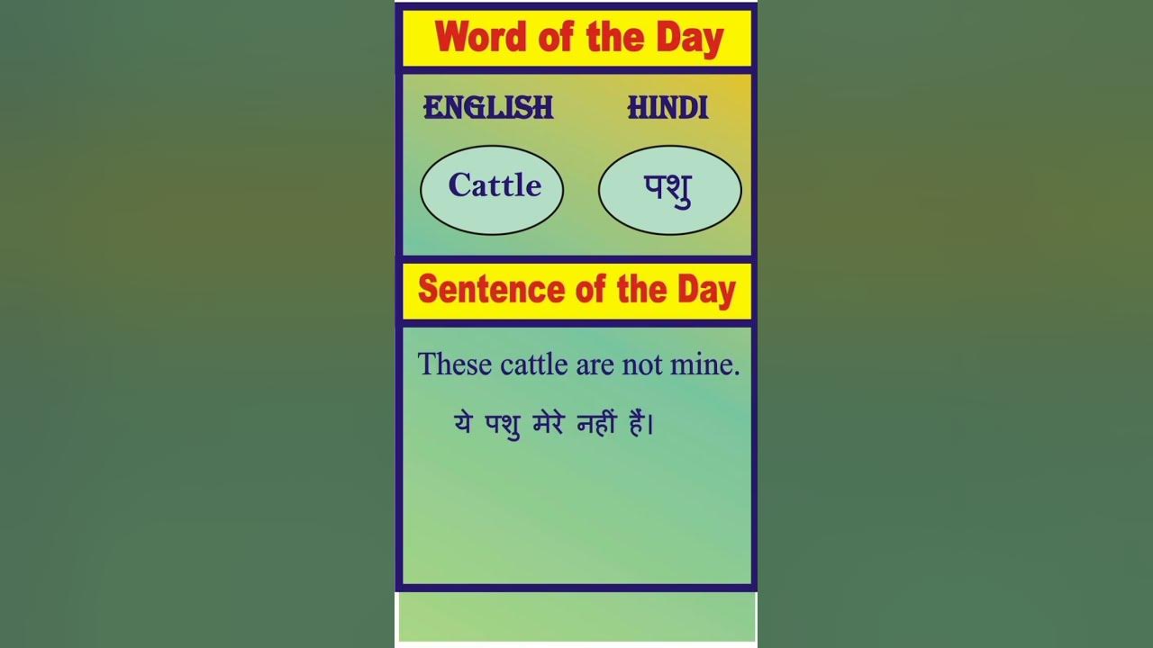 word-of-the-day-sentence-of-the-day-shorts-short-learnenglish