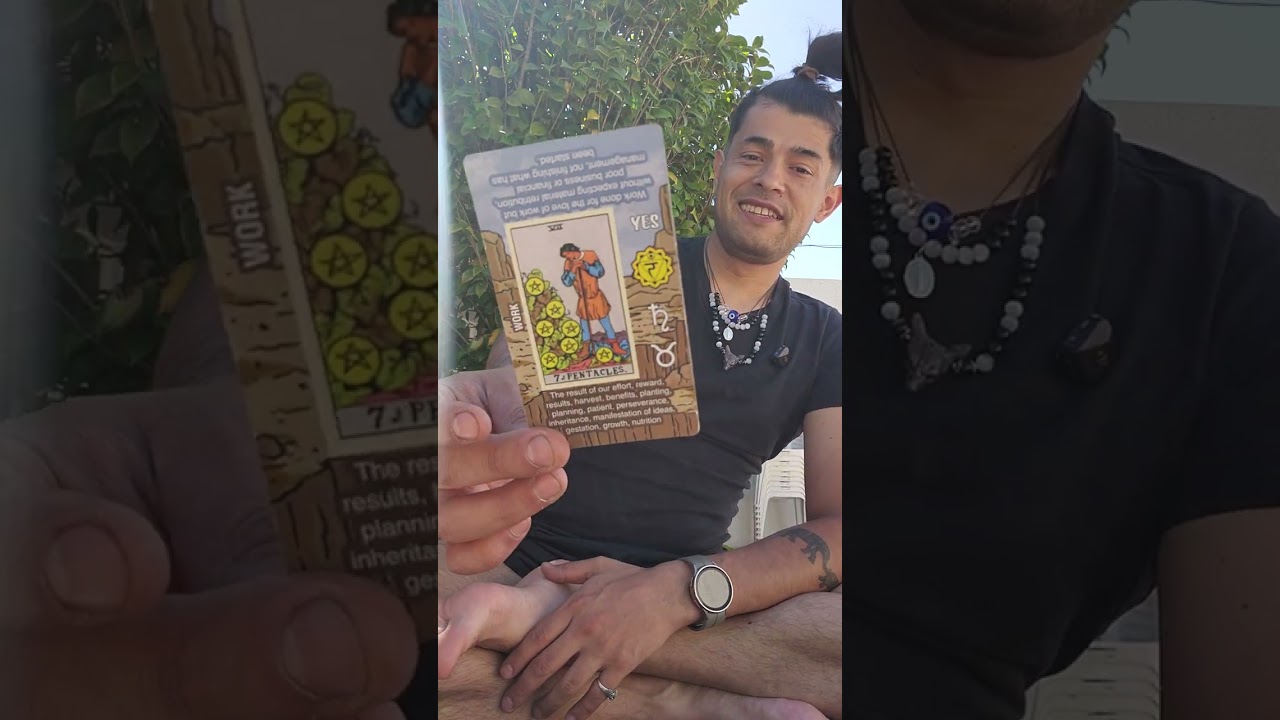 Five of Swords → Seven of Pentacles - Four Paths, One Message (Morning Backyard Reading)