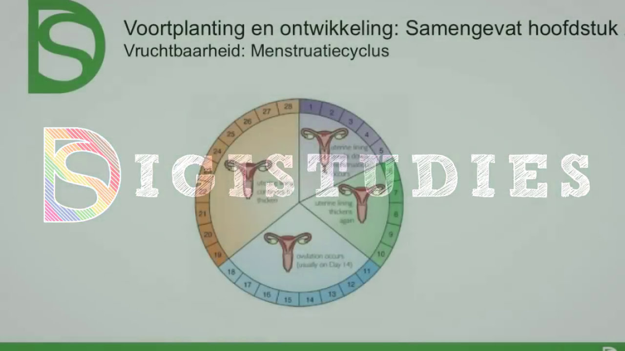 Examen Biologie Menstruatiecyclus Voortplanting Youtube