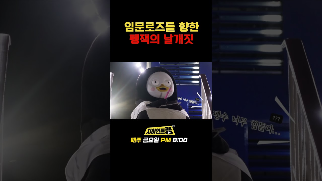 임문로즈를 향한 펭잭의 날개짓